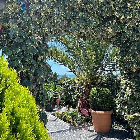 Kemeni Garden Ξενοδοχείο Μπατούμι Εξωτερικό φωτογραφία