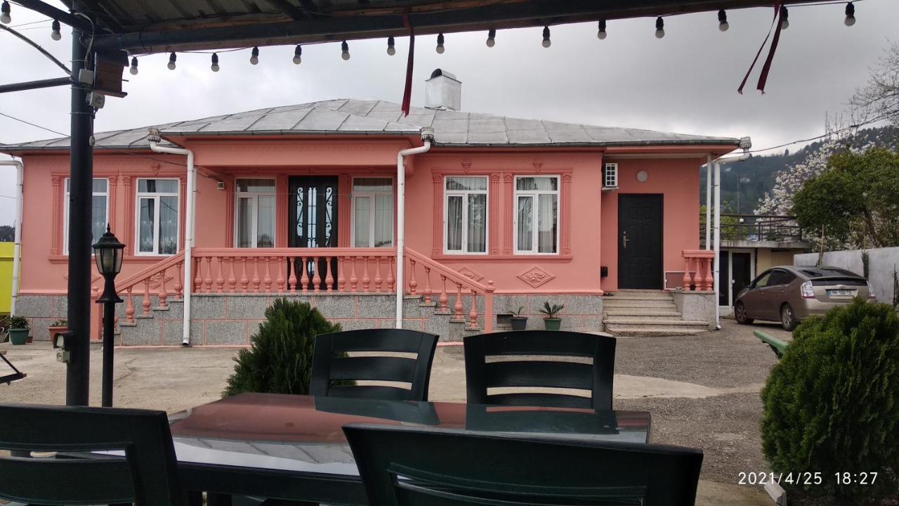 Kemeni Garden Ξενοδοχείο Μπατούμι Εξωτερικό φωτογραφία