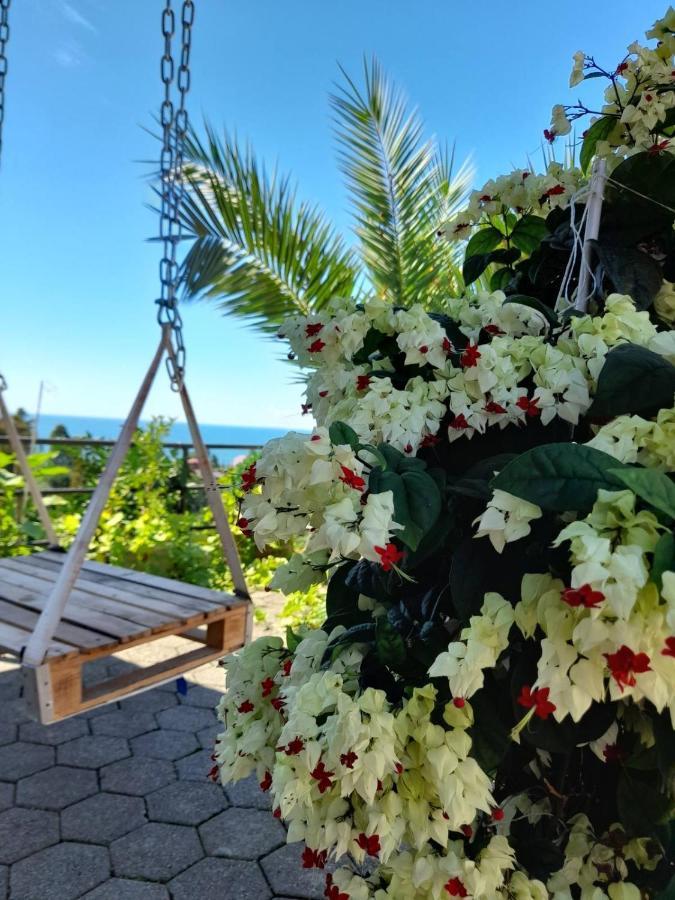 Kemeni Garden Ξενοδοχείο Μπατούμι Εξωτερικό φωτογραφία