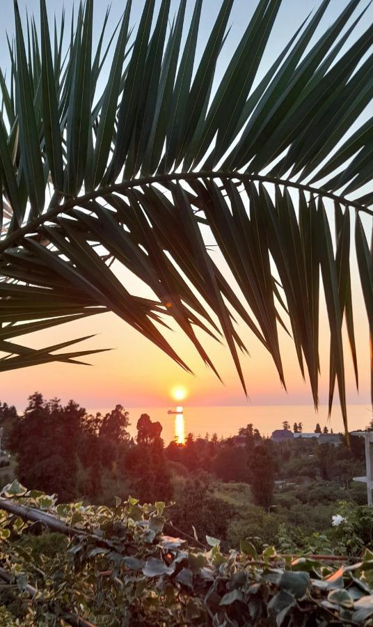 Kemeni Garden Ξενοδοχείο Μπατούμι Εξωτερικό φωτογραφία