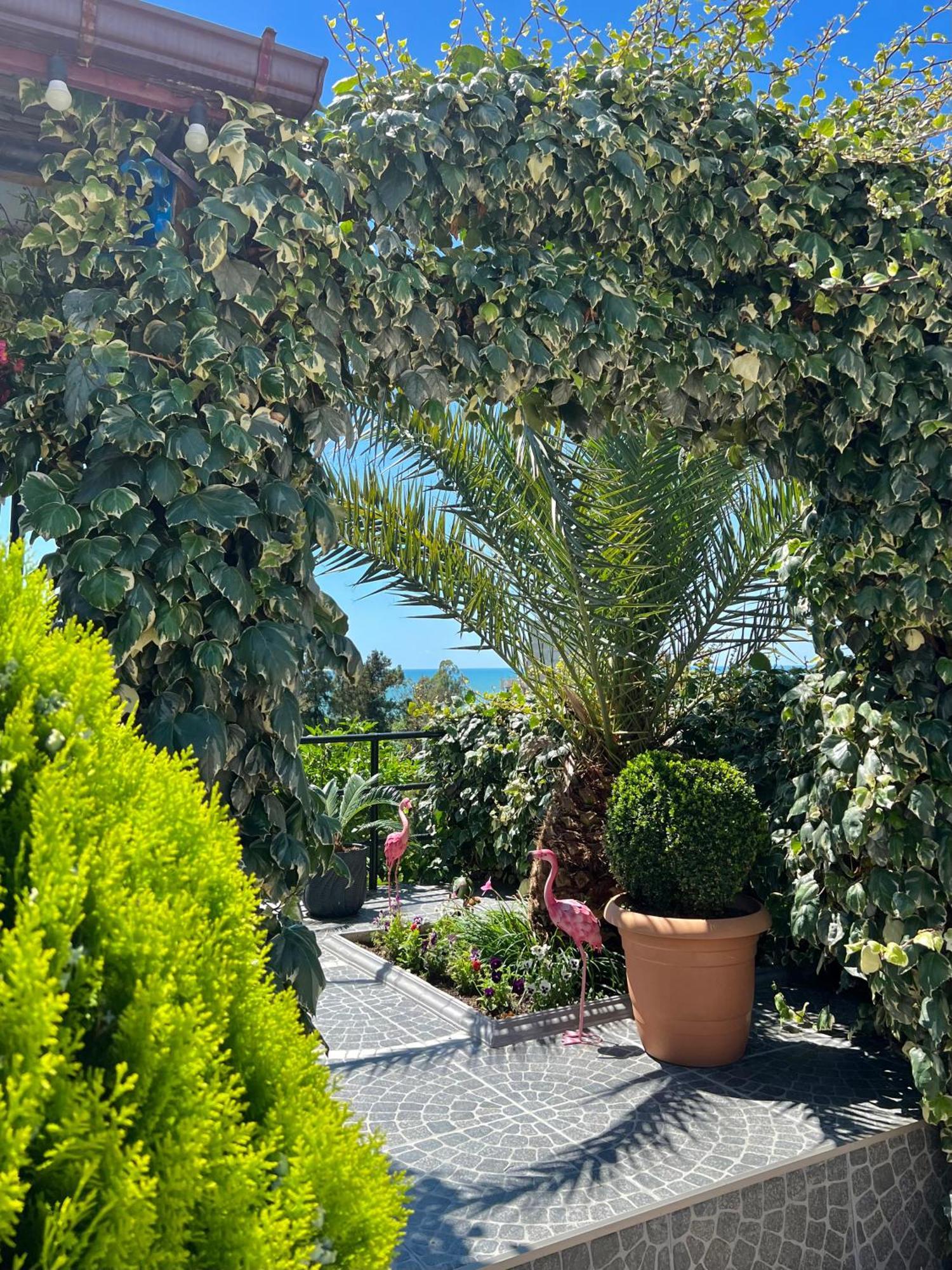 Kemeni Garden Ξενοδοχείο Μπατούμι Εξωτερικό φωτογραφία
