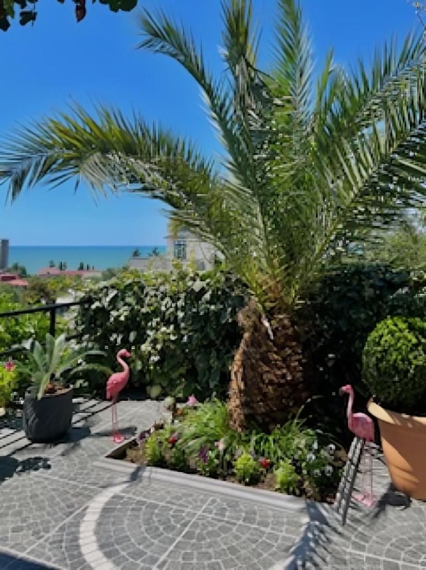 Kemeni Garden Ξενοδοχείο Μπατούμι Εξωτερικό φωτογραφία