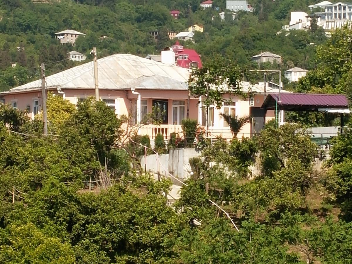 Kemeni Garden Ξενοδοχείο Μπατούμι Εξωτερικό φωτογραφία