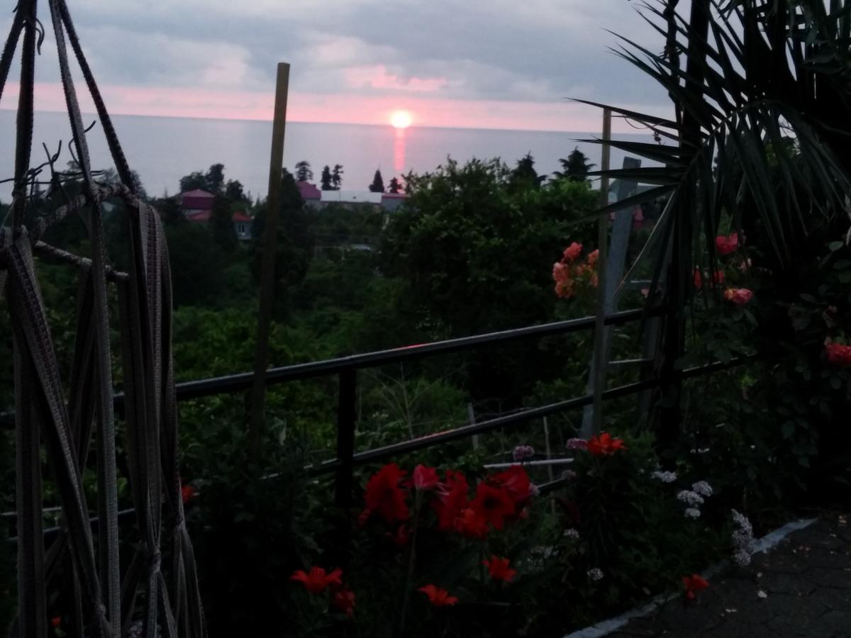 Kemeni Garden Ξενοδοχείο Μπατούμι Εξωτερικό φωτογραφία