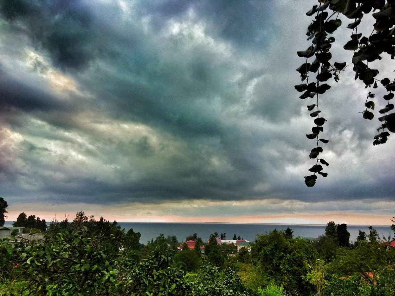 Kemeni Garden Ξενοδοχείο Μπατούμι Εξωτερικό φωτογραφία